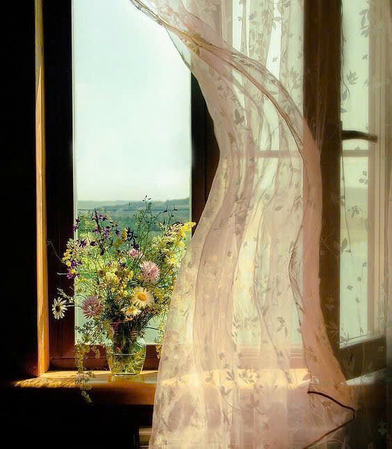 Whispers Through the Window