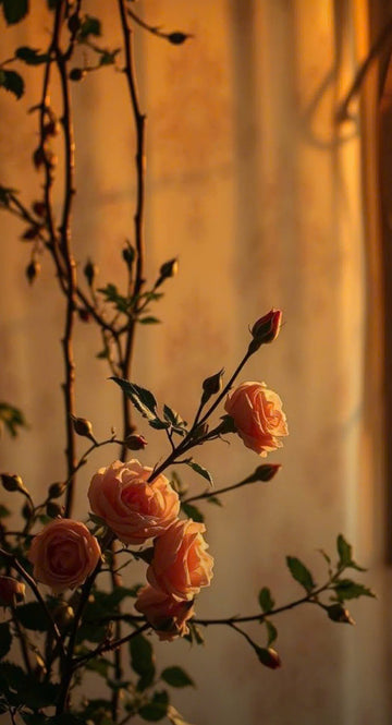 Roses in Golden Dusk